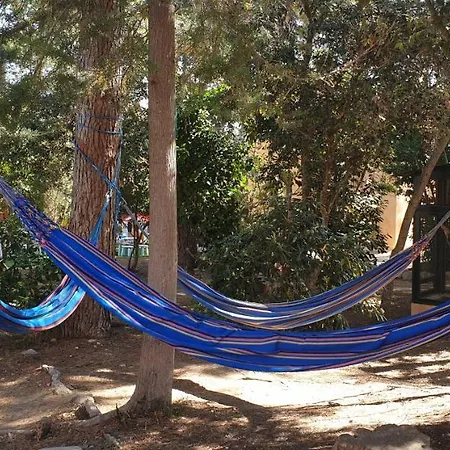 Casa Con Jardin A 30 Metros De La Playa. Vl. 別荘 *